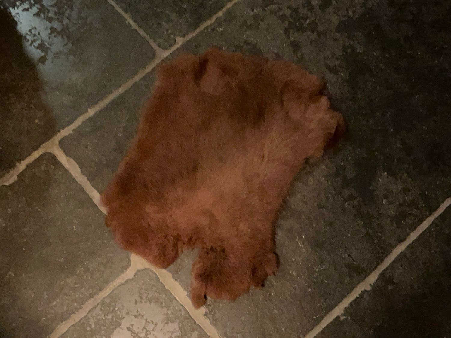 Konijnenvacht terracotta