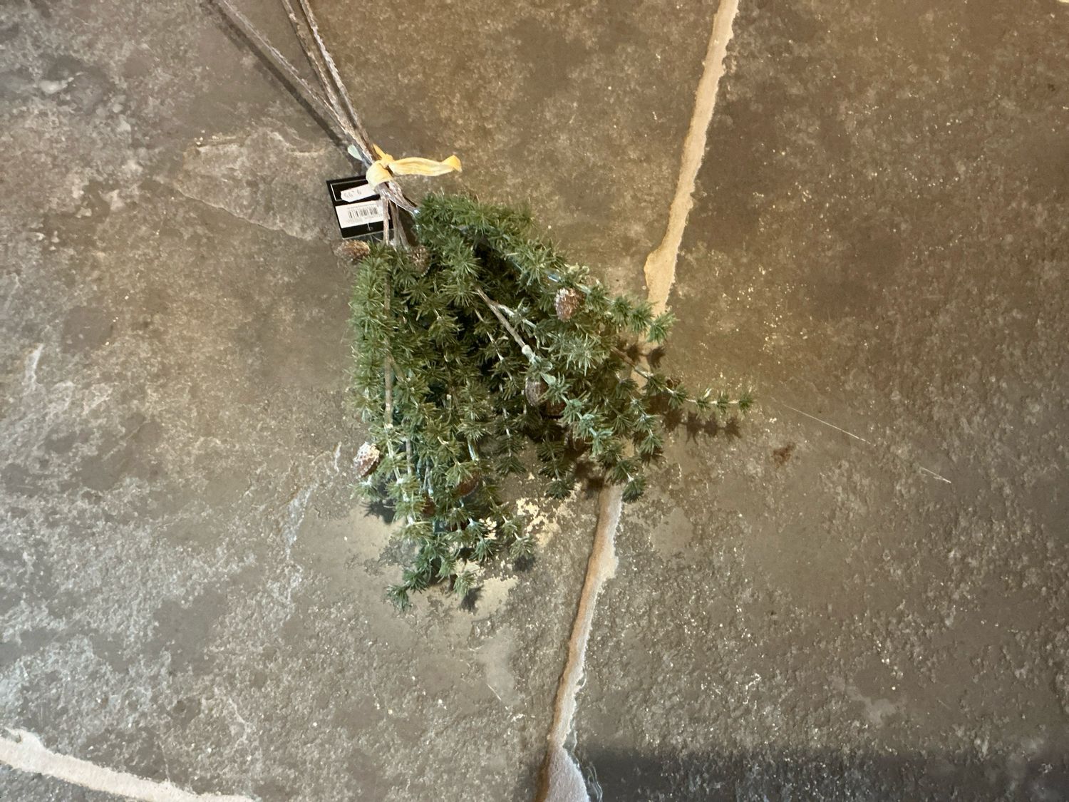 Kunst toefje met eikels