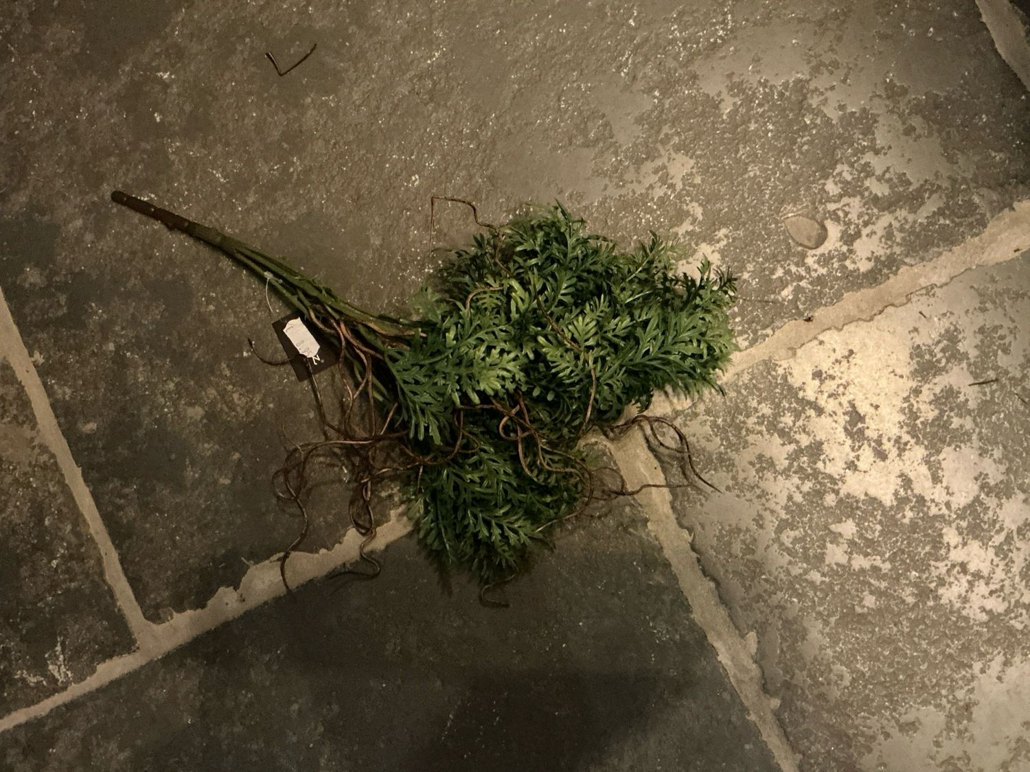 Kunst ranunculus twig