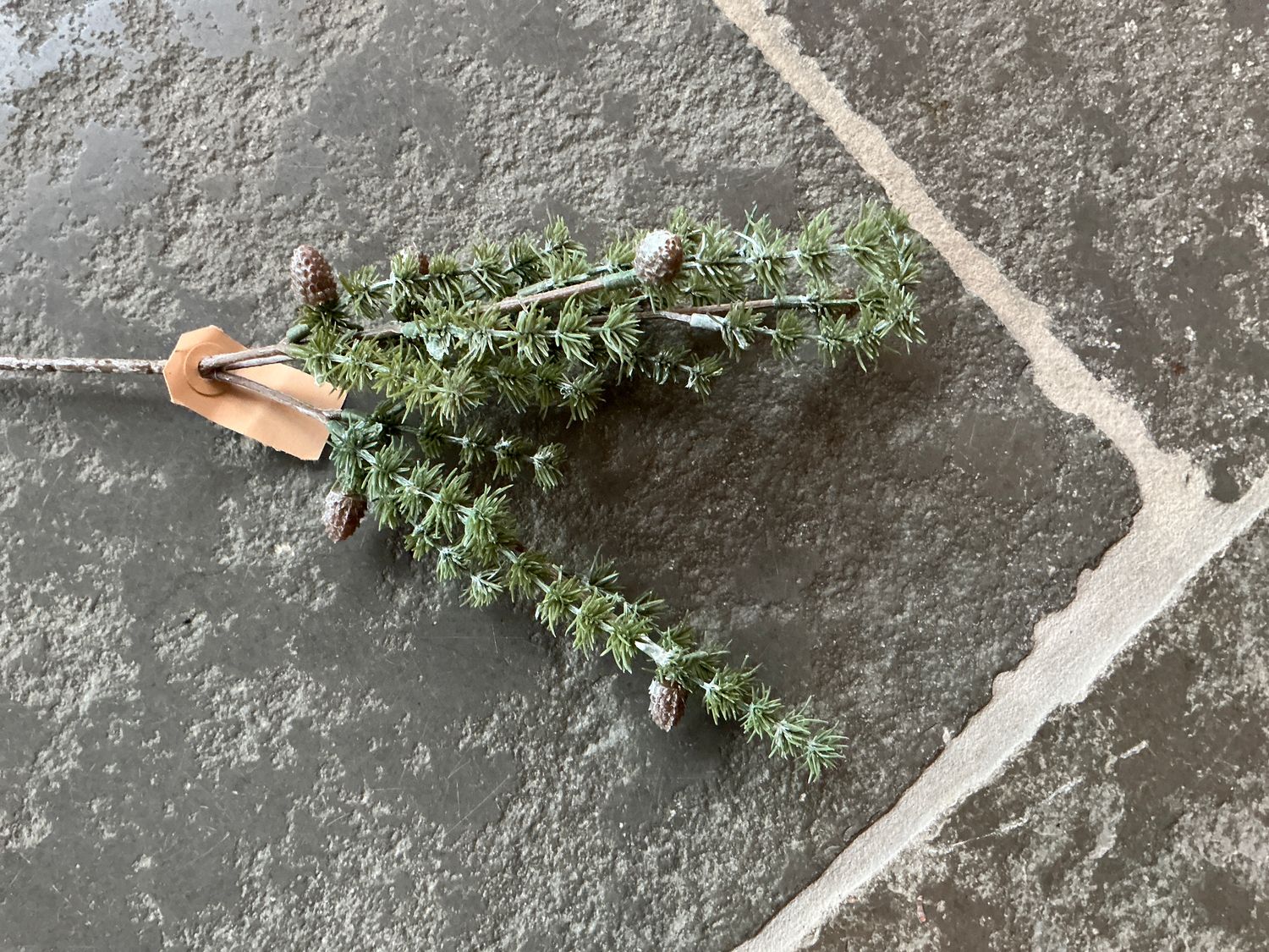 Tak met dennenappels