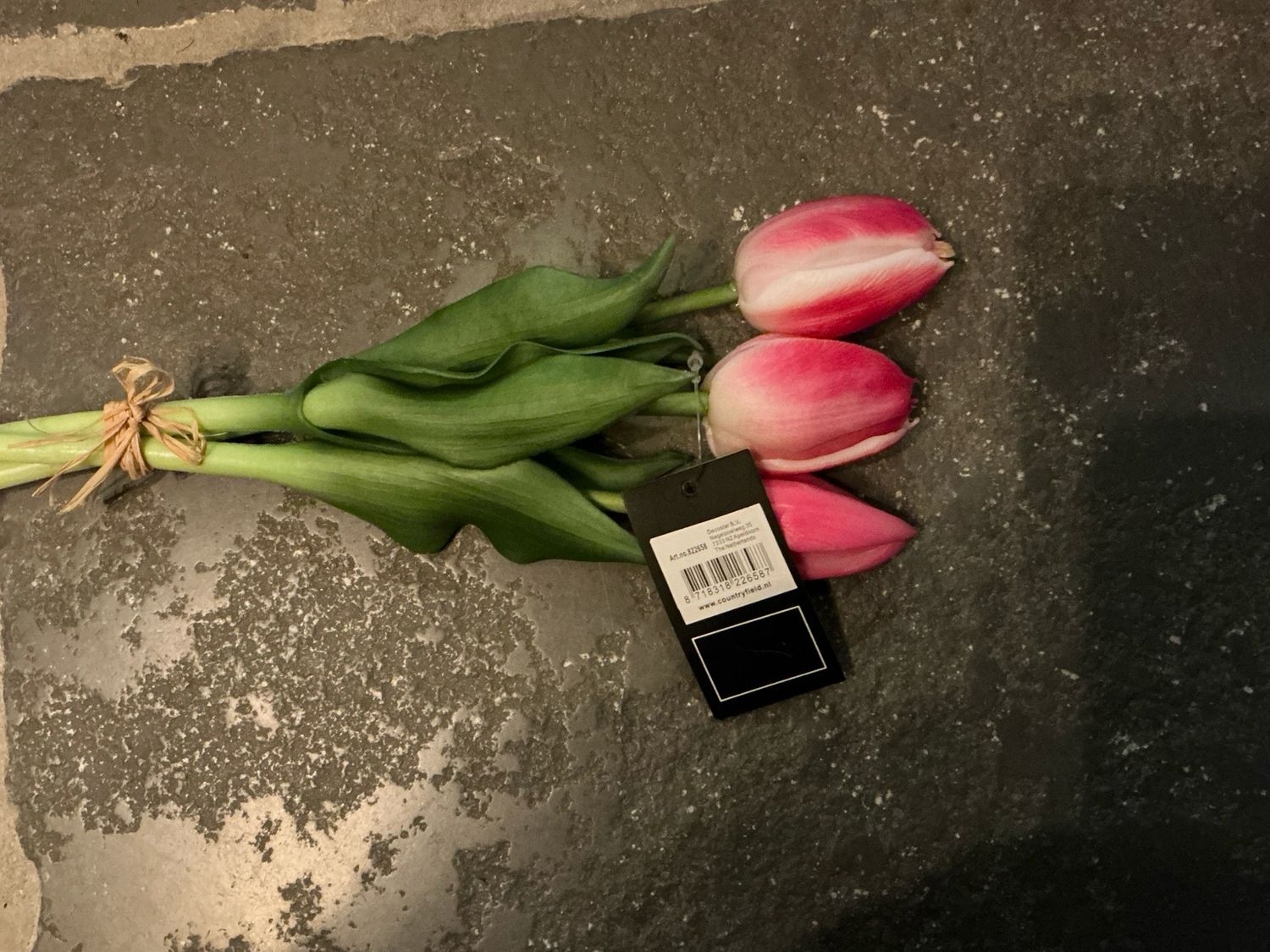 Roze tulpen korte steel