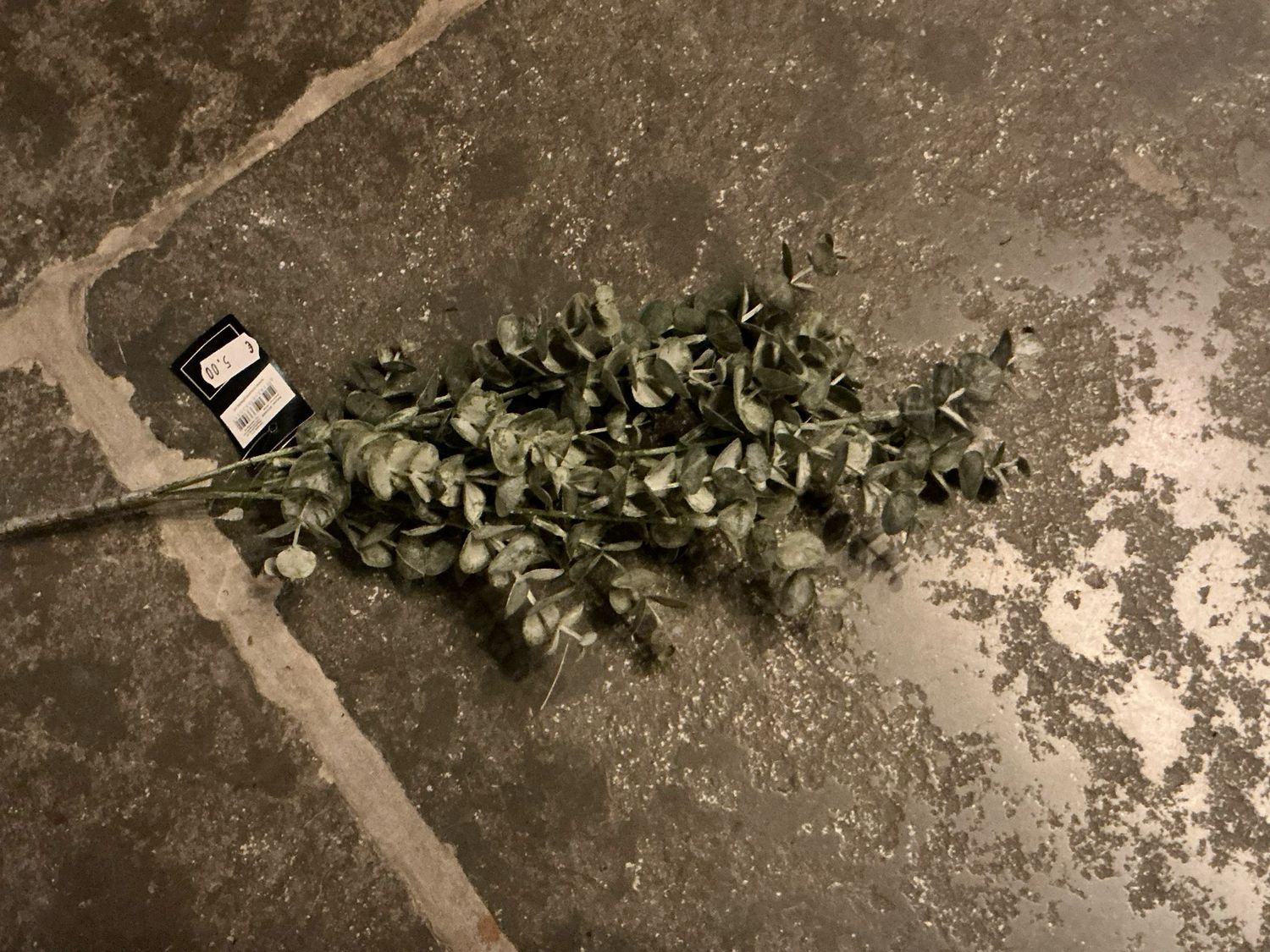 Kunsttak eucalyptus 60cm lang