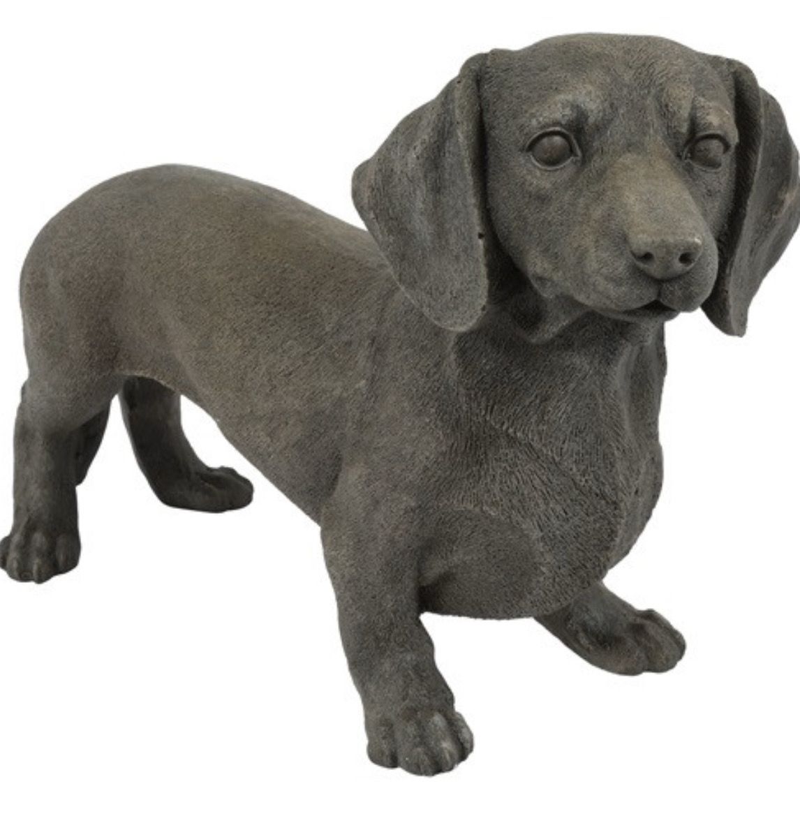 Teckel bruin-L50B18H31CM