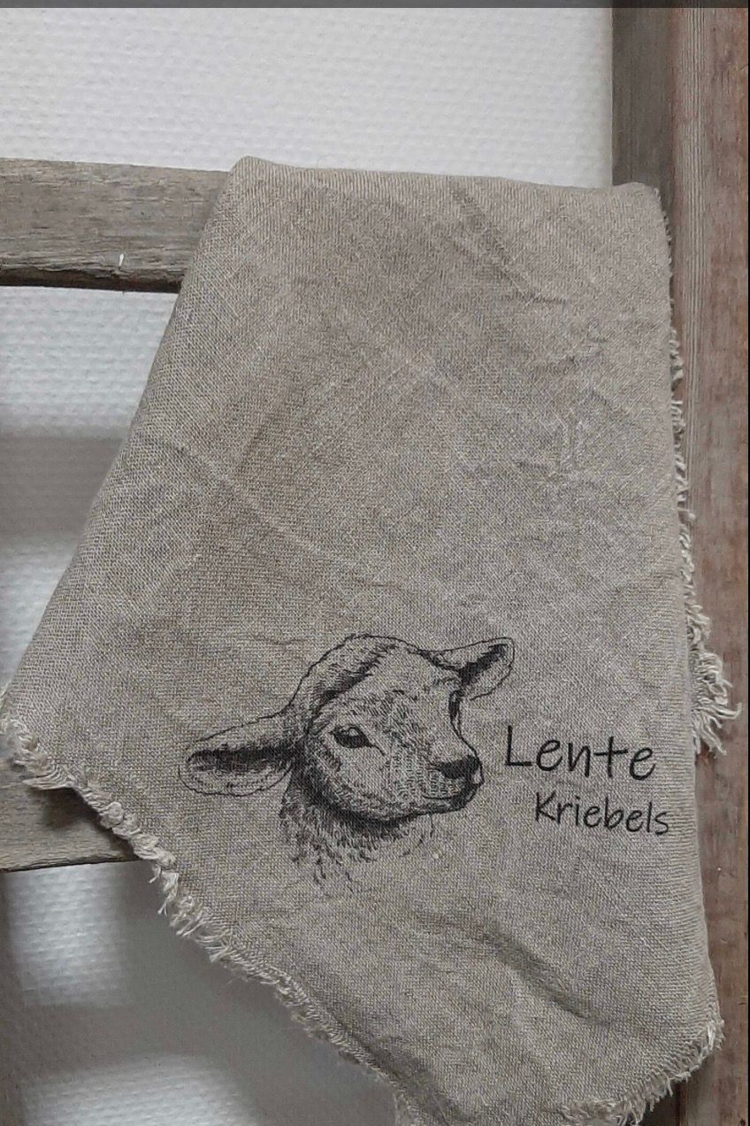 Shabby doek lammetje lente kriebels 50x50cm