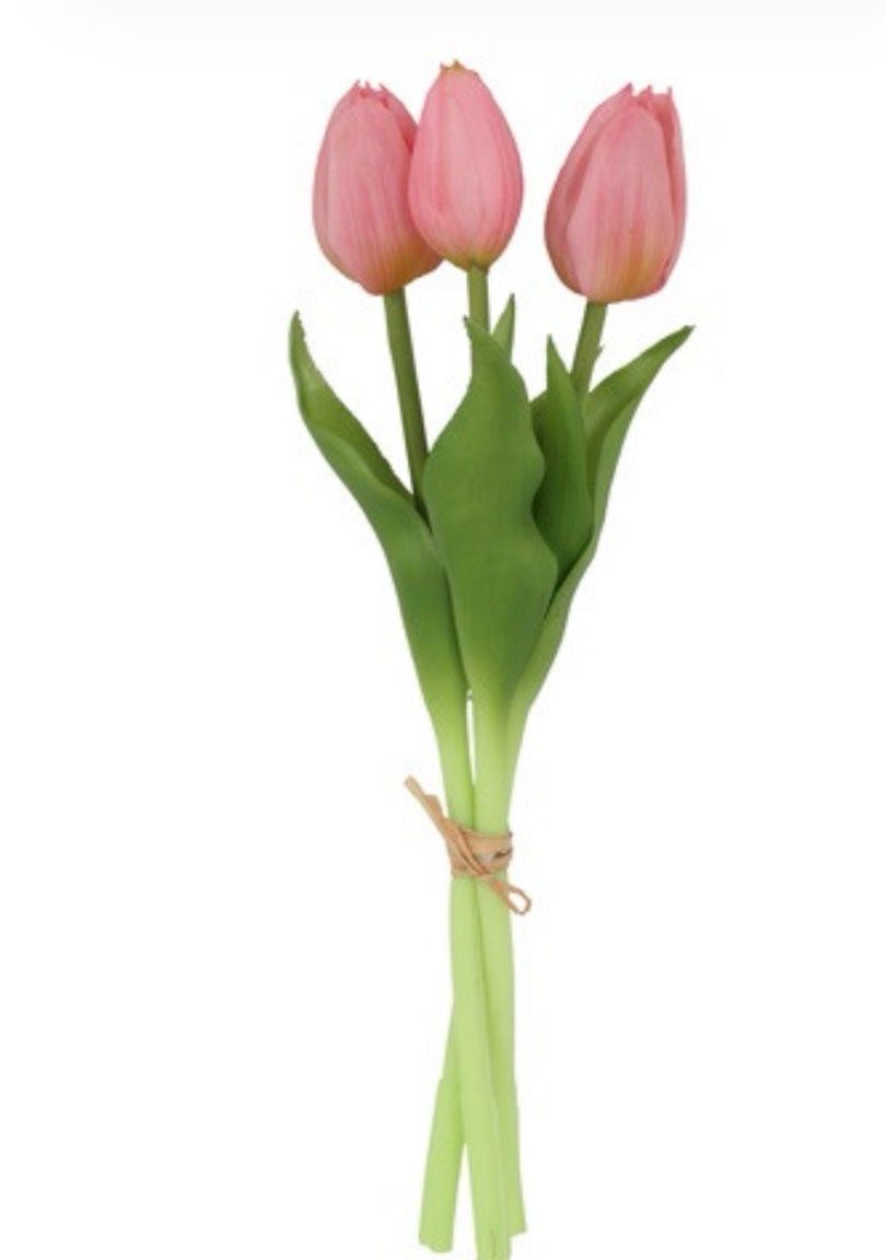 Boeket Tulp Tulipa 3 roze-12x12x29CM