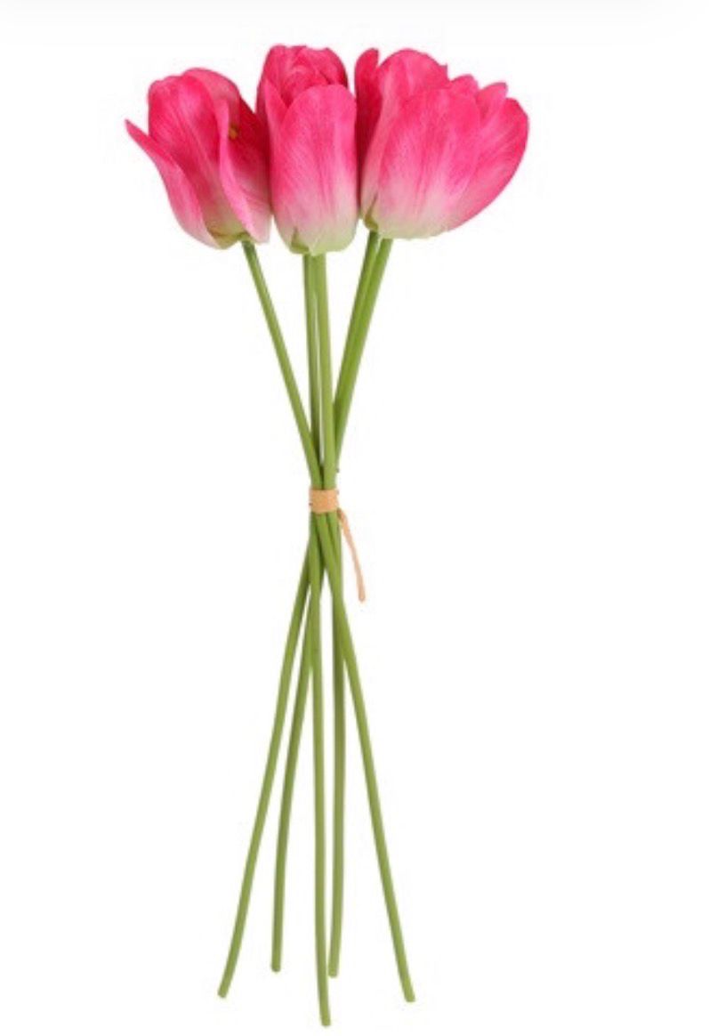 Bloem Tulp Tulipa Soraya 5x fuchsia-15x15x34CM