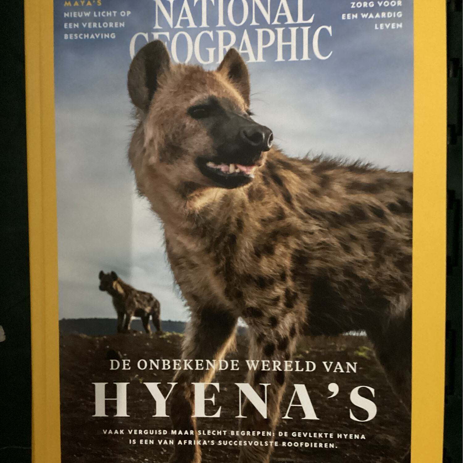 NATIONAL GEOGRAPHIC NL 3