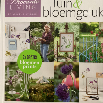 BROCANTE SPECIAL (ARIADNE  25/24