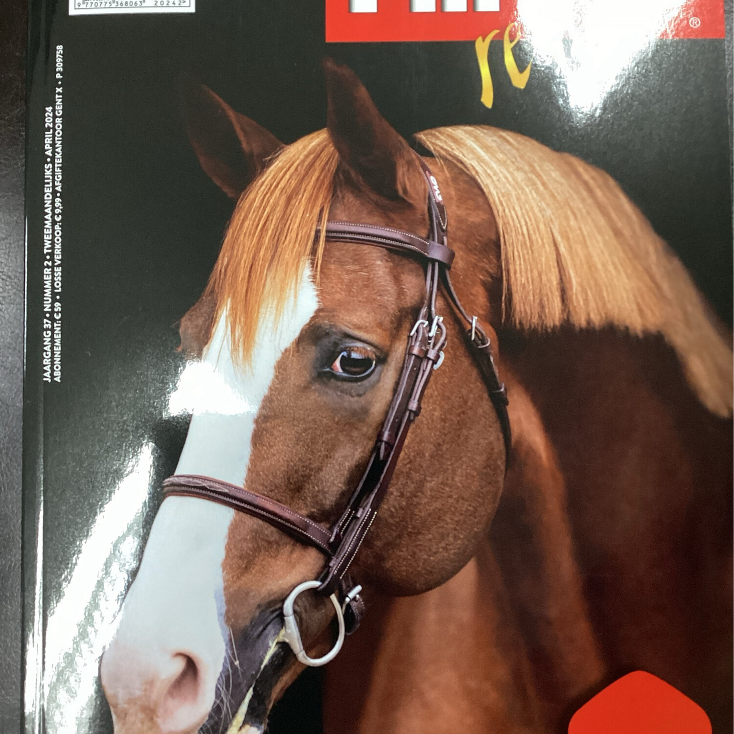 HIPPO REVUE NL 02/24