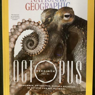 NATIONAL GEOGRAPHIC NL 5