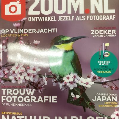 ZOOM NL 2405