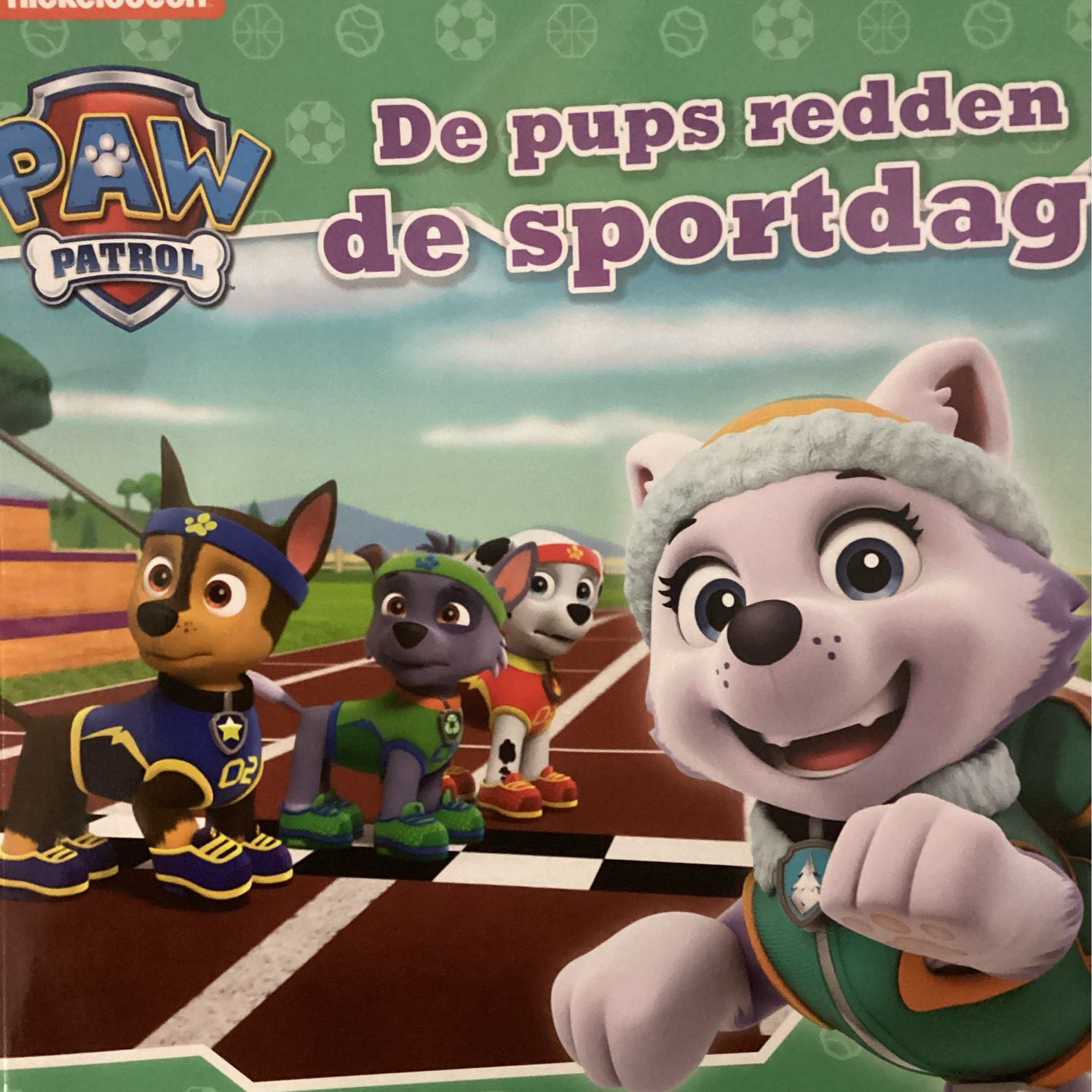 PAW PATROL LEESBOEKJE 43