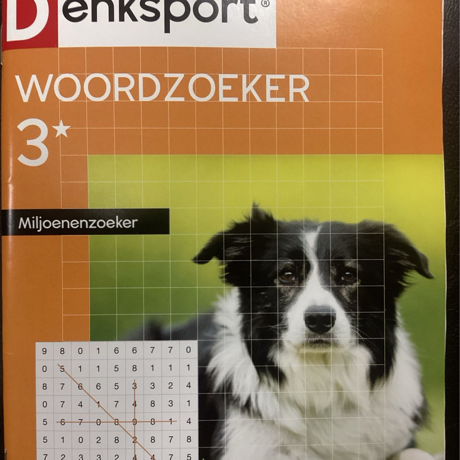 DS WOORDZOEKER MILJOEN 53