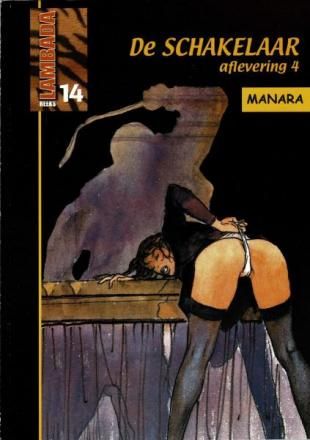 Lambada reeks : 14. De schakelaar 4