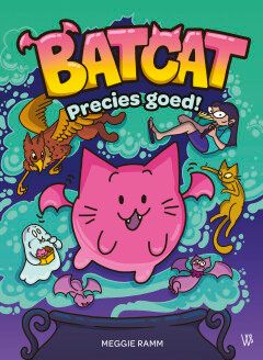 Batcat : Hc01. Precies goed!