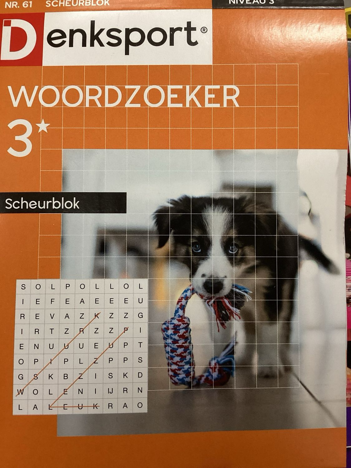 DS WOORDZOEKER SCHEURBLOK  #61