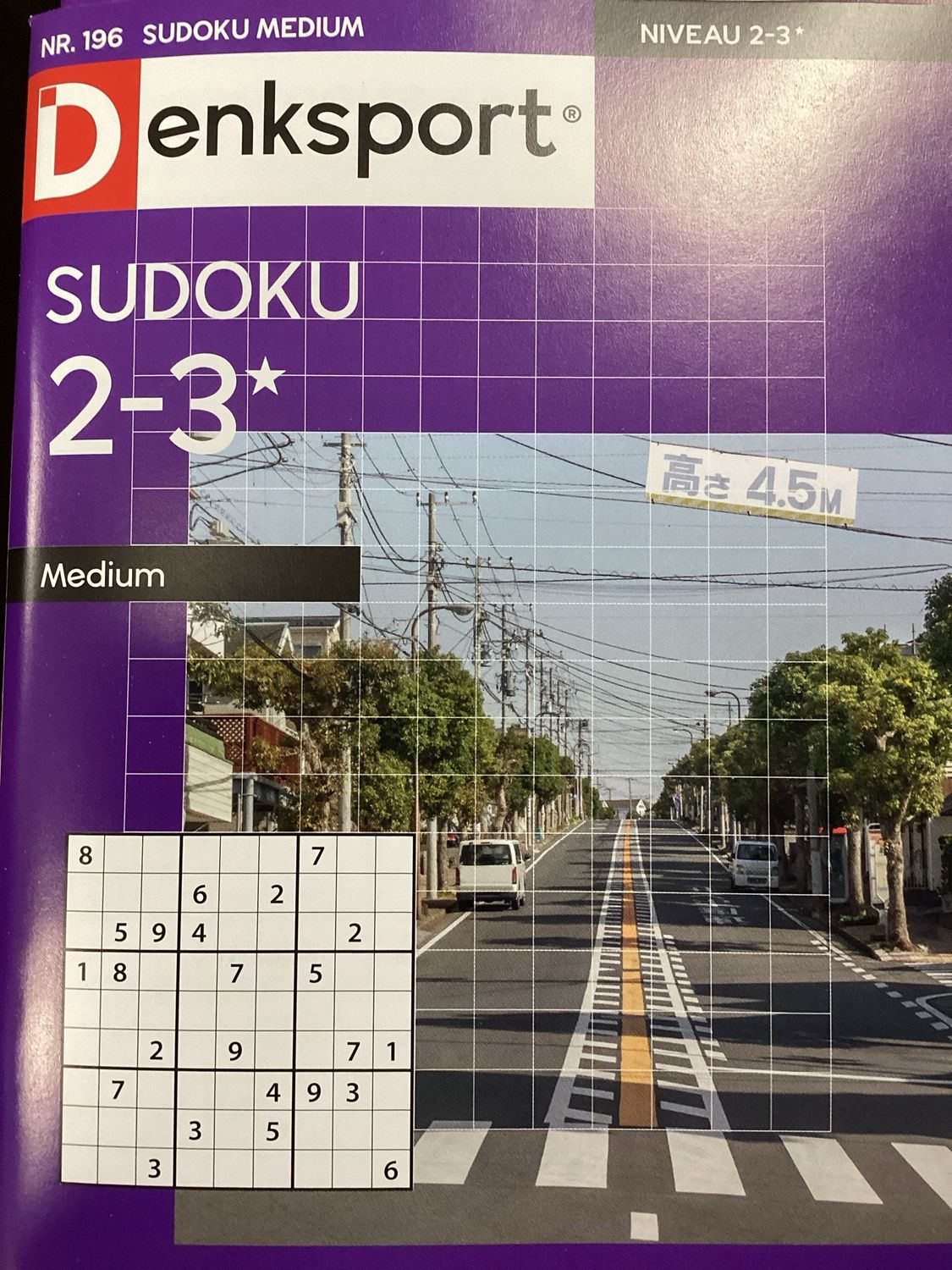 DS SUDOKU MEDIUM #196