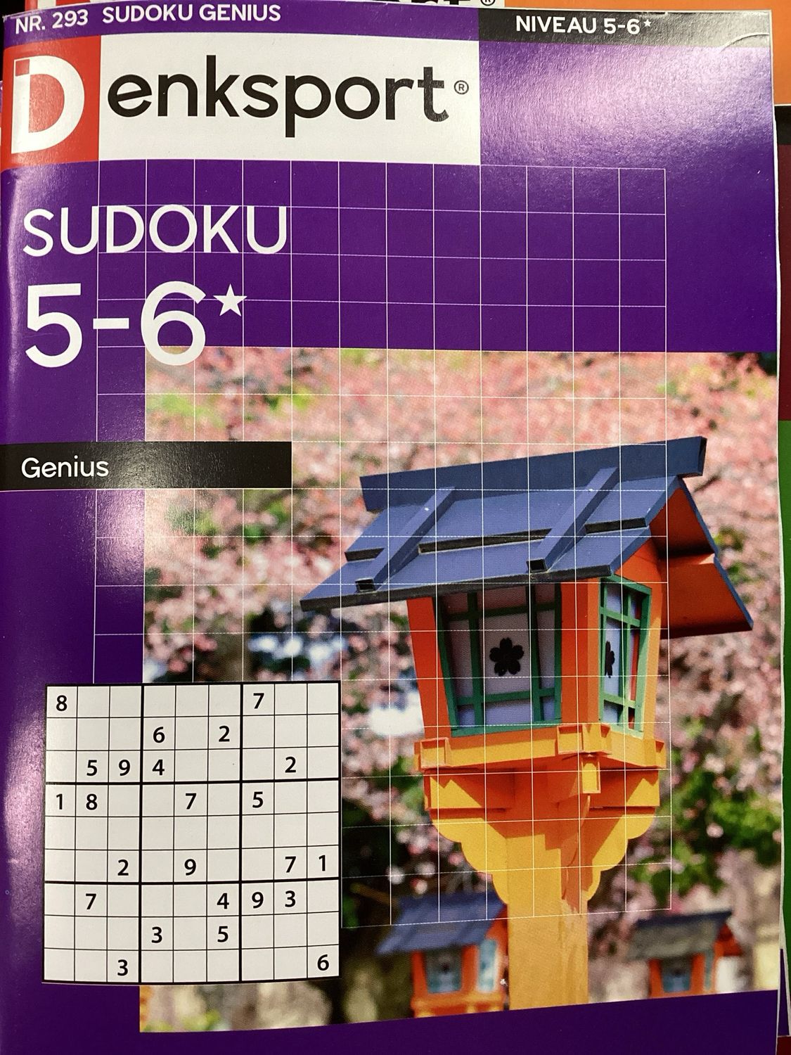 DS SUDOKU GENIUS #293