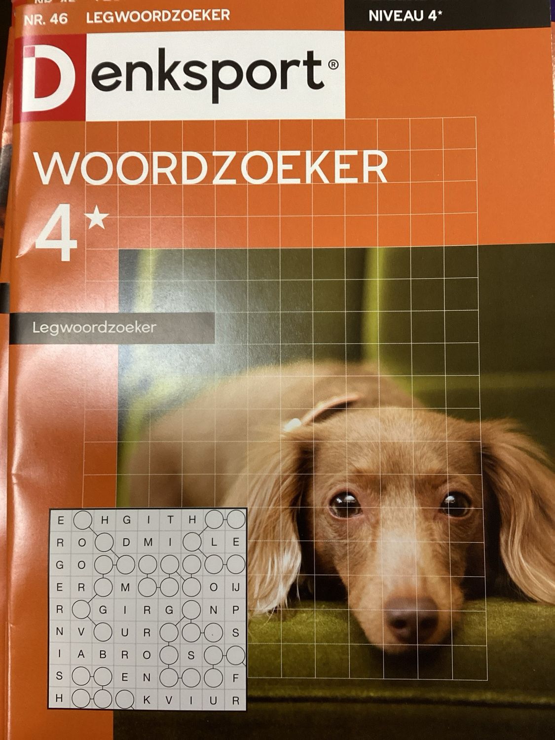 DS LEGWOORDZOEKER #46