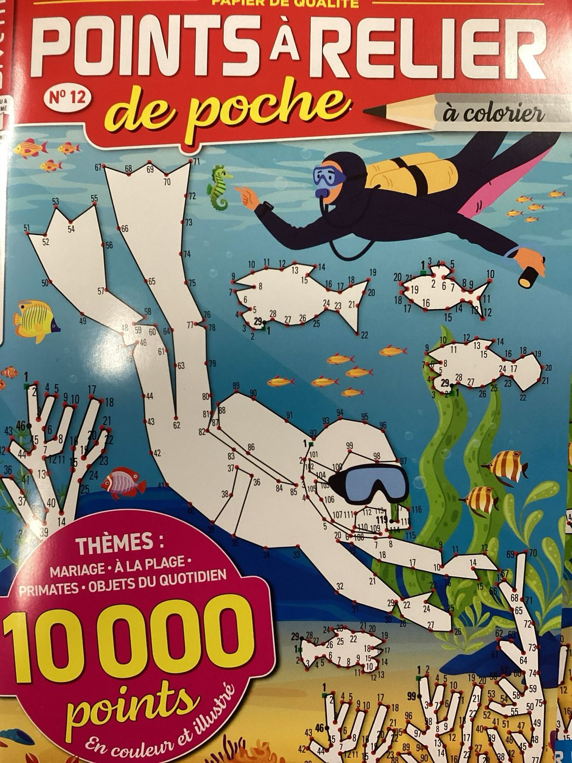 POINTS A RELIER DE POCHE #12