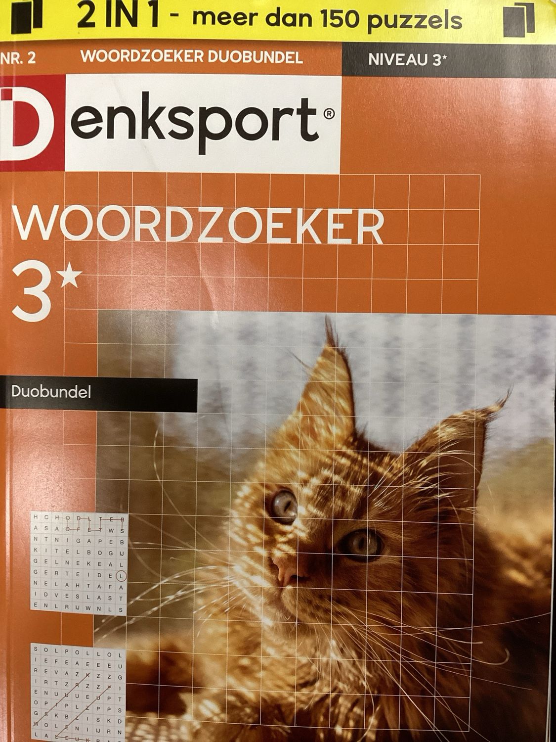 DS WOORDZOEKER DUO #2