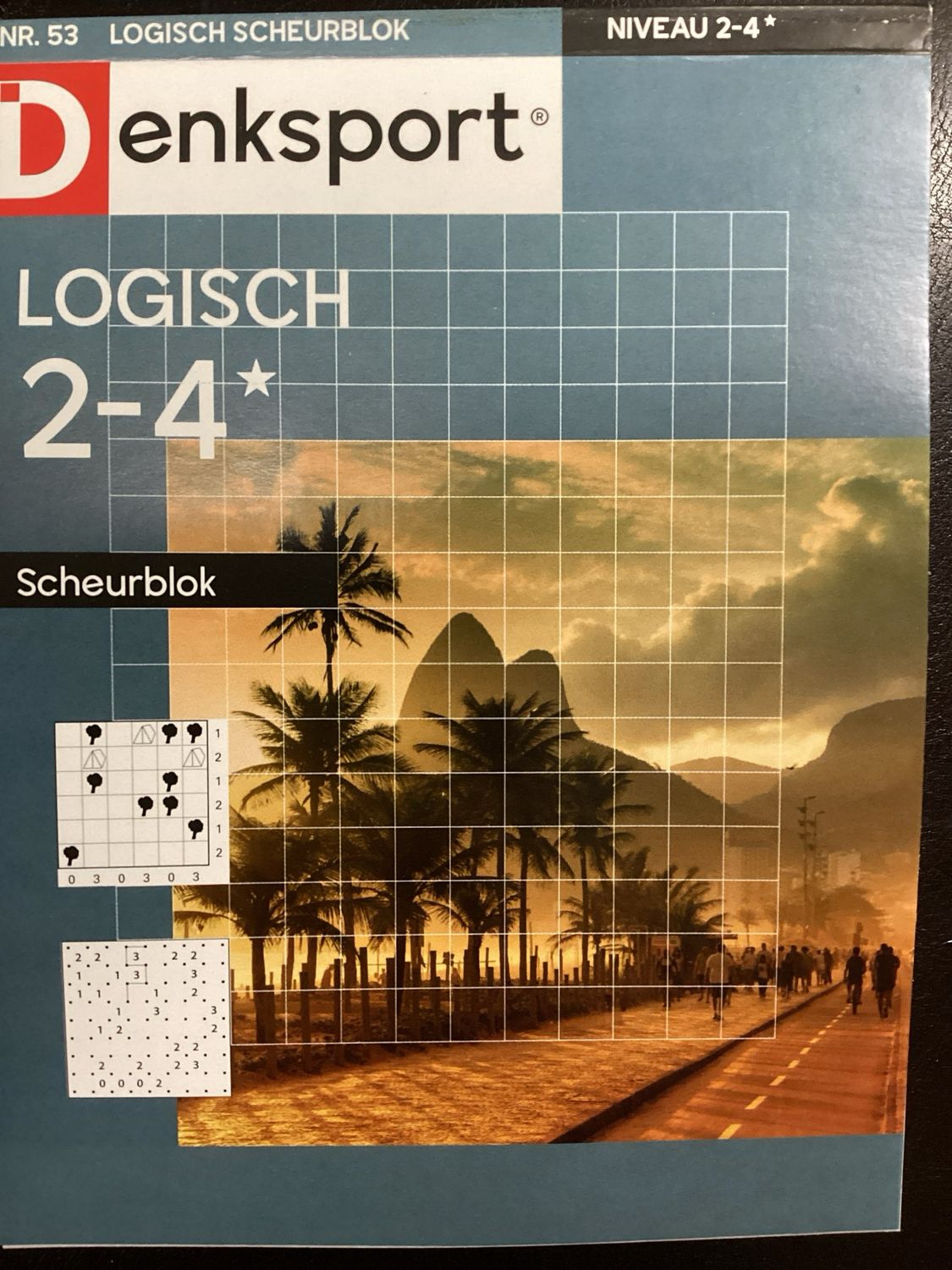 DS LOGISCH SCHEURBLOK #53