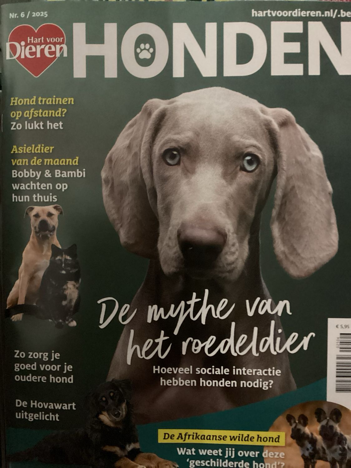 HART VOOR DIEREN #6