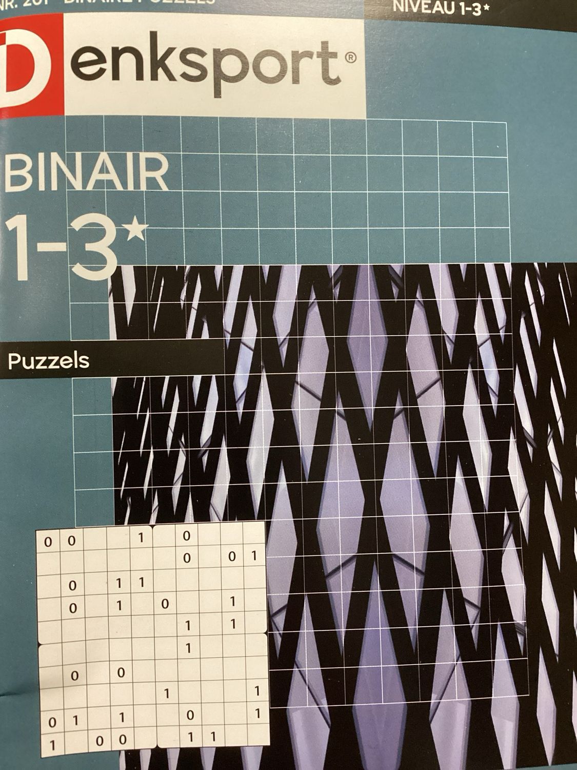 DS BINAIRE PUZZELS #201