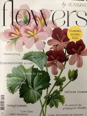 SEASONS SP FLOWERS XXL 20 #1/24.