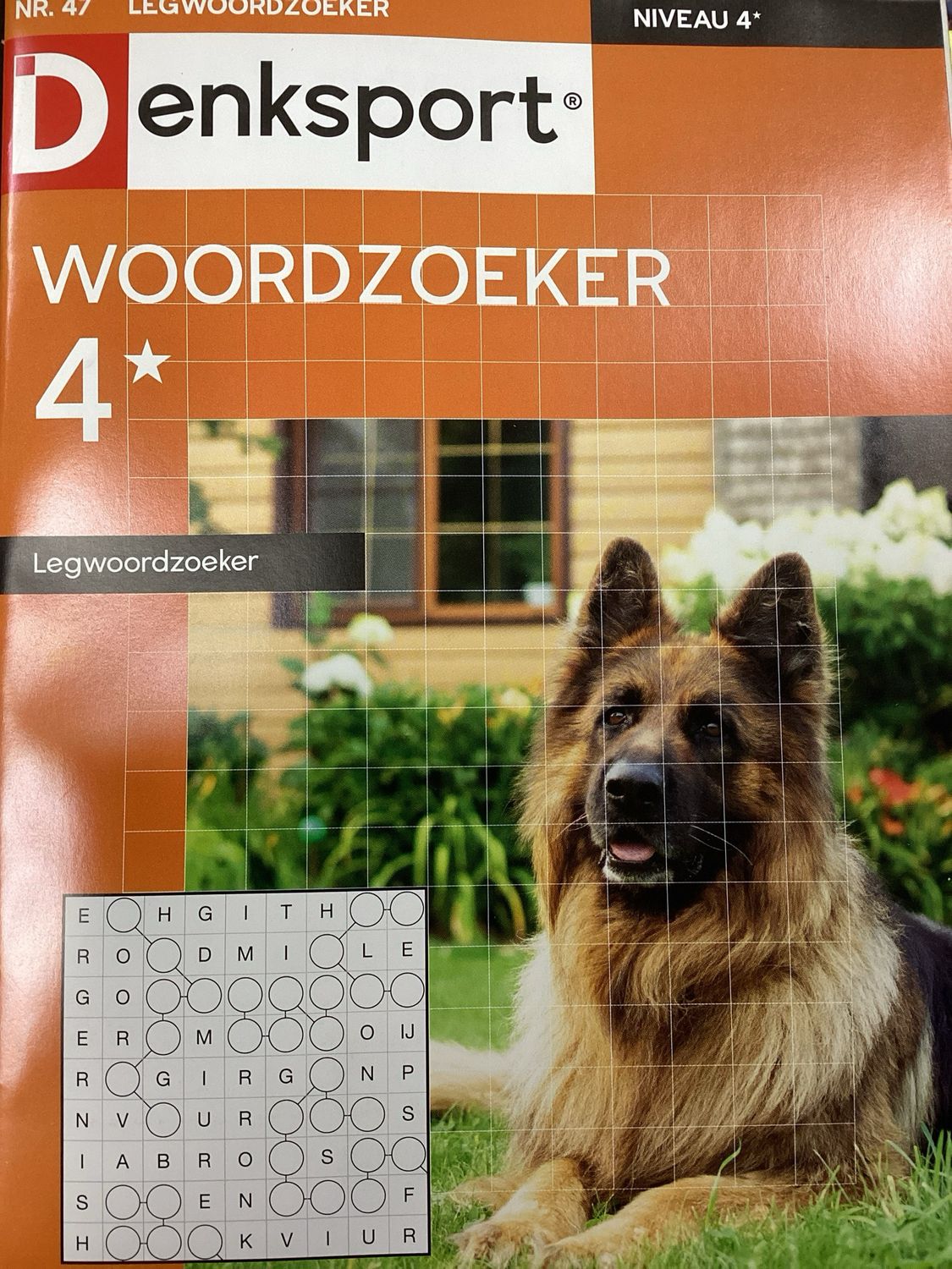 DS LEGWOORDZOEKER #47