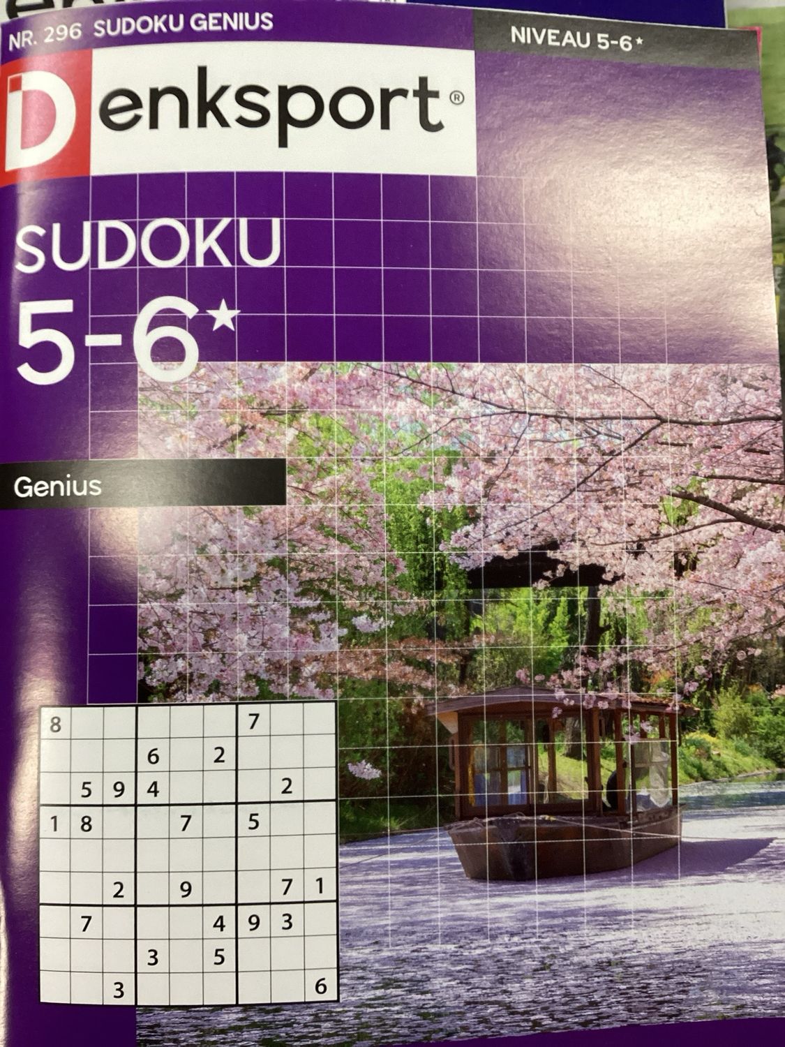 DS SUDOKU GENIUS #296