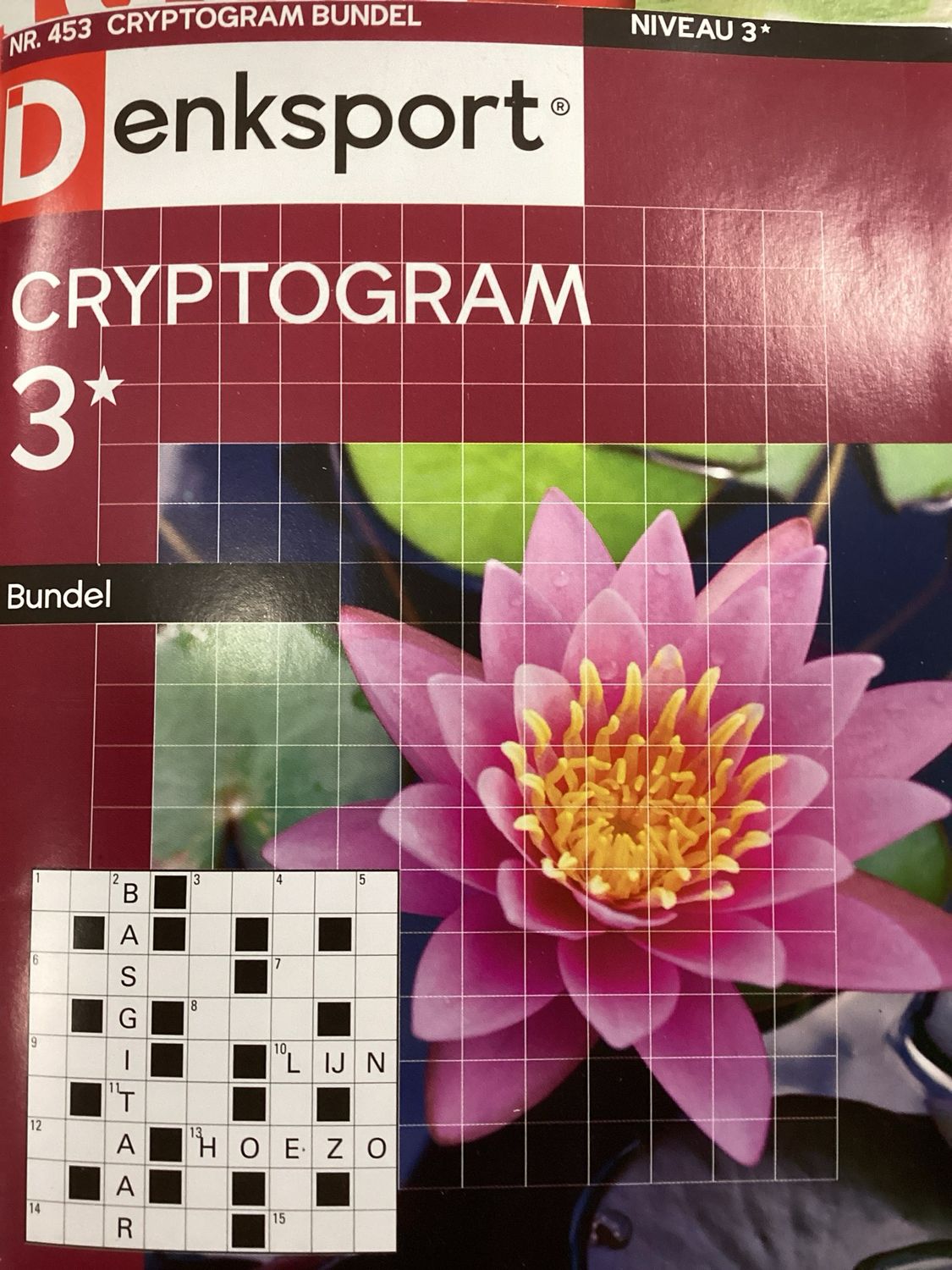 DS CRYPTOGRAMMENBUNDEL #453