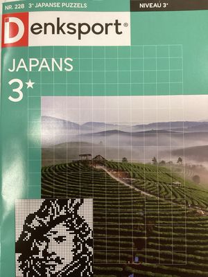 DS JAPANSE PUZZELS #228