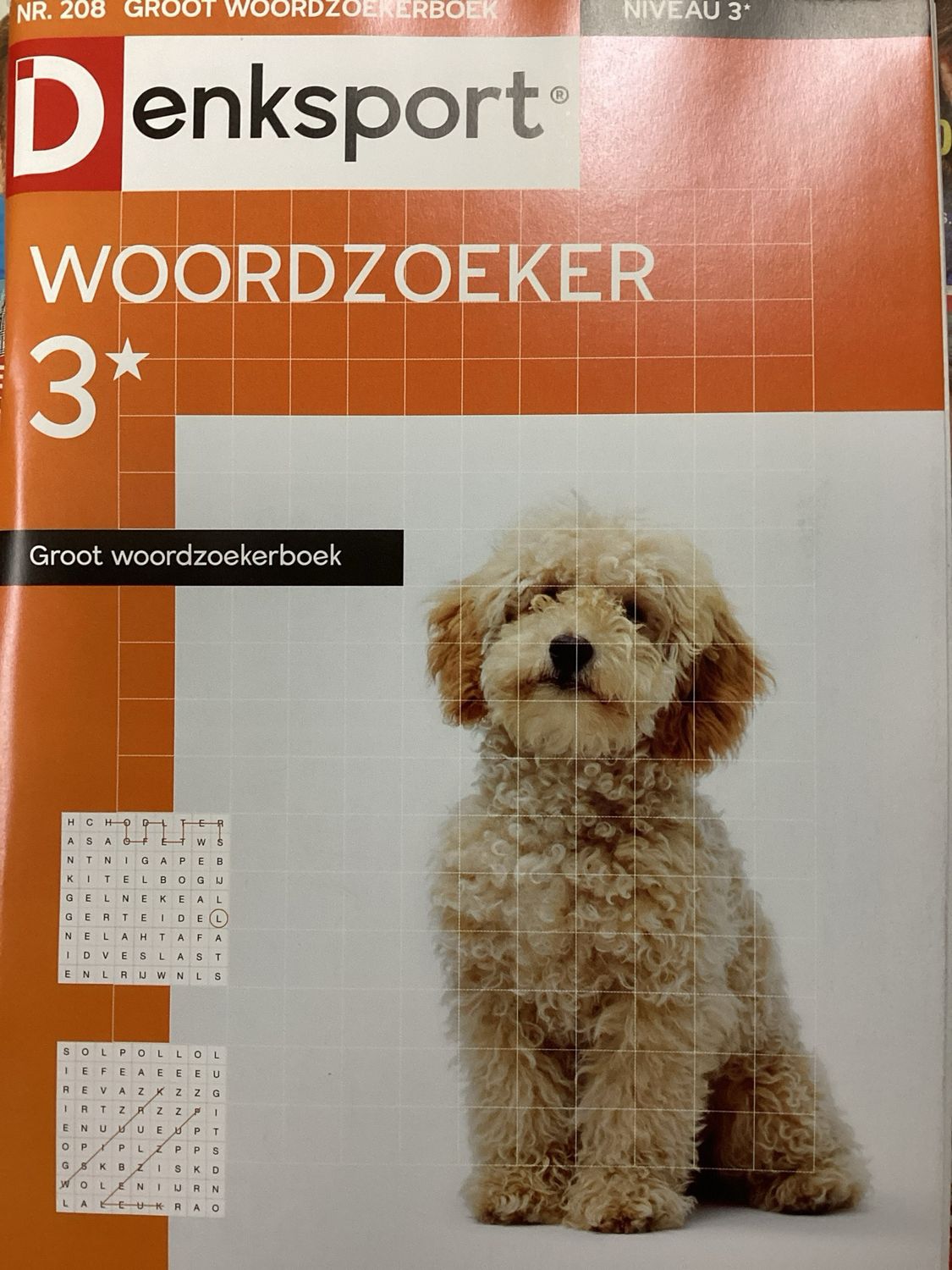 DS GROOT WOORDZOEKERBOEK #208