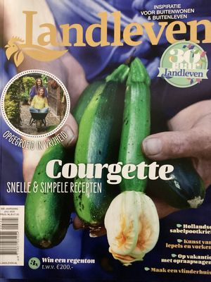 LANDLEVEN #7