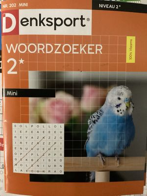 DS WOORDZOEKER MINI #202