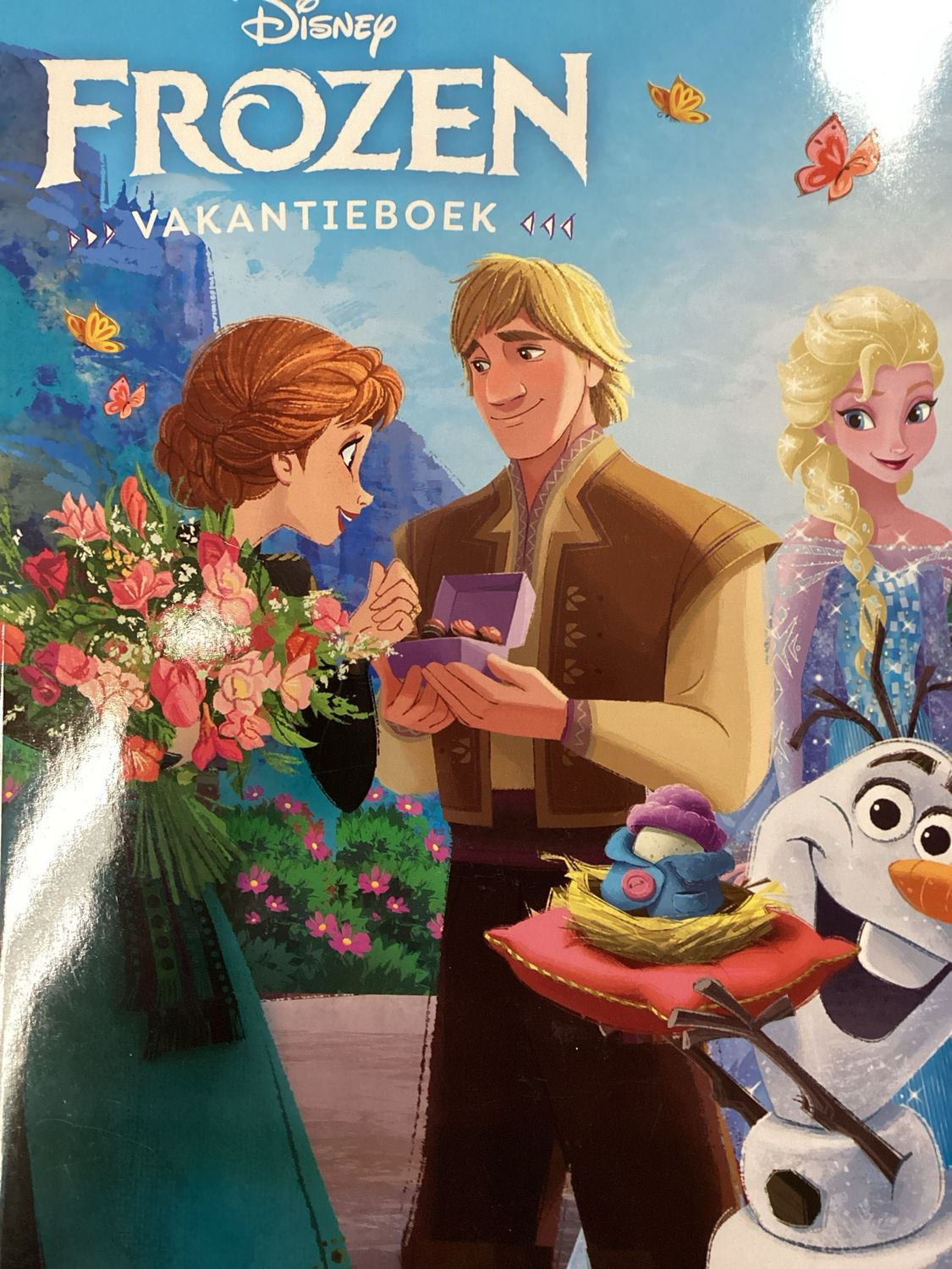 DISNEY FROZEN VAKANTIEBOE #DFV