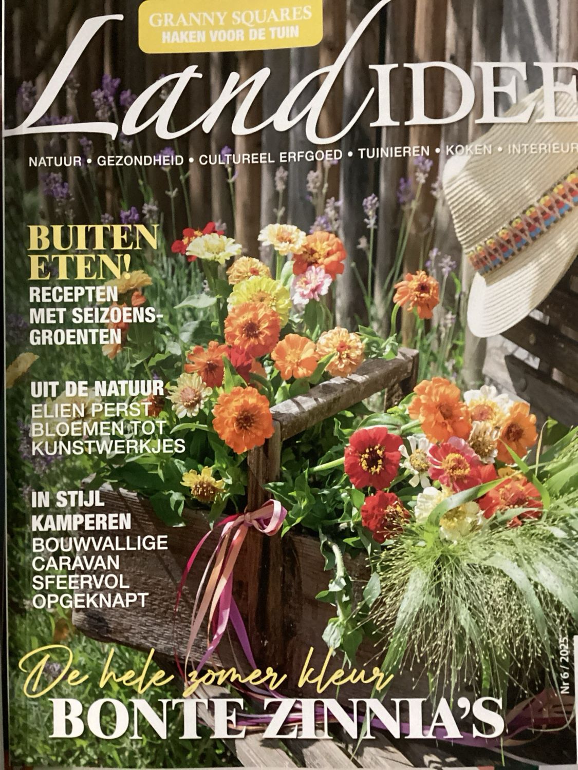LANDIDEE #6