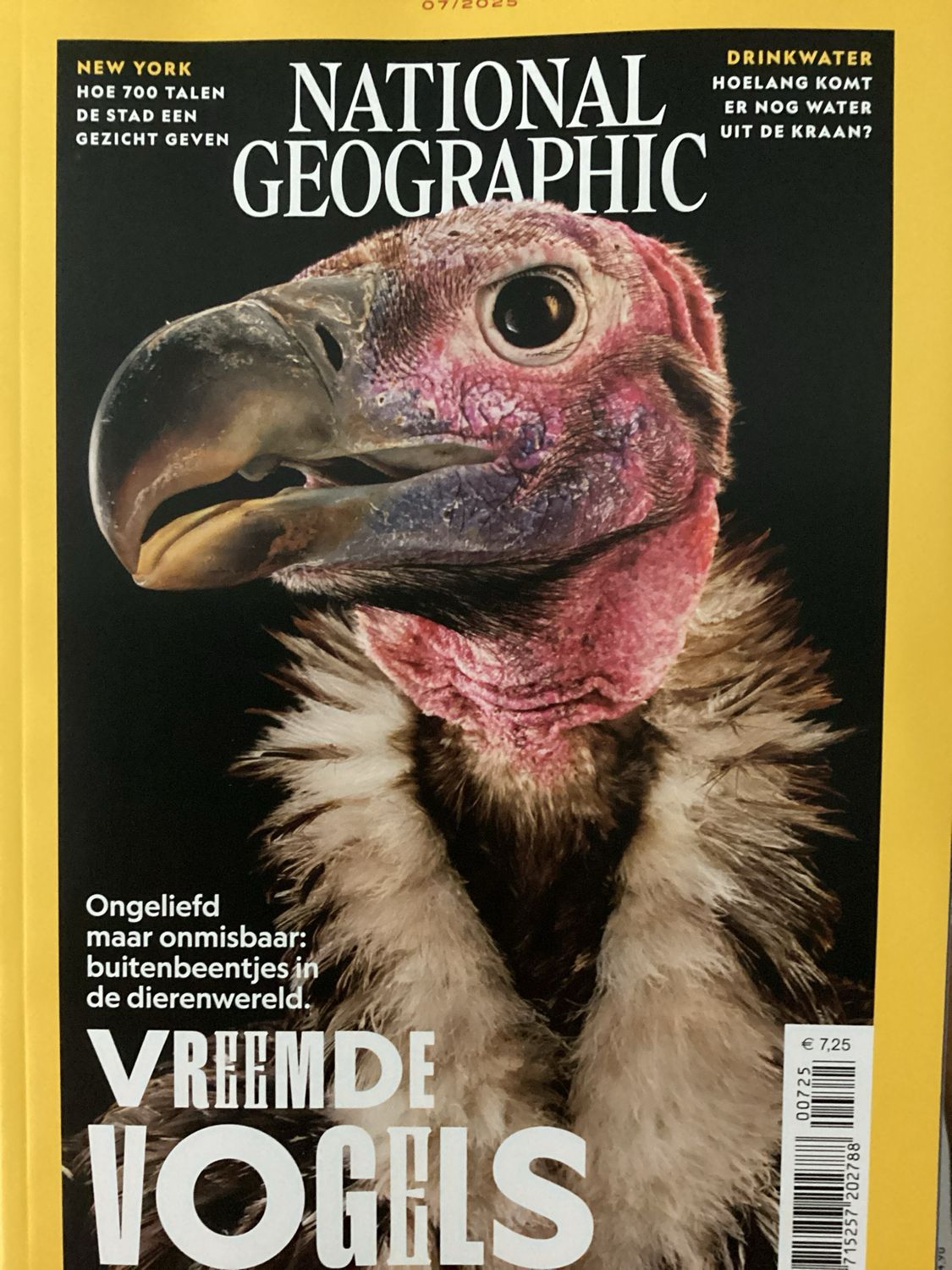 NATIONAL GEOGRAPHIC NL #7