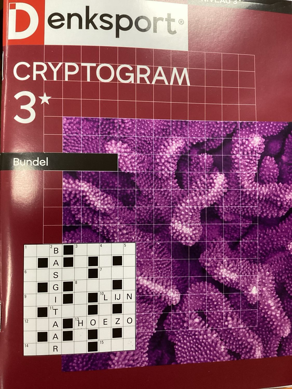 DS CRYPTOGRAMMENBUNDEL #454