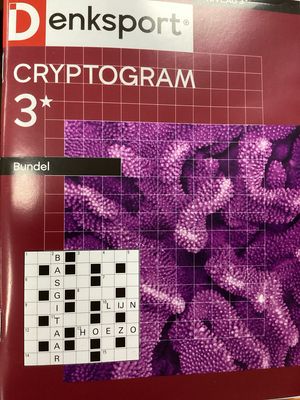 DS CRYPTOGRAMMENBUNDEL #454