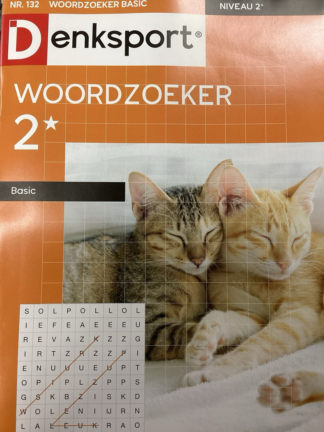 DS WOORDZOEKER BASIC #132