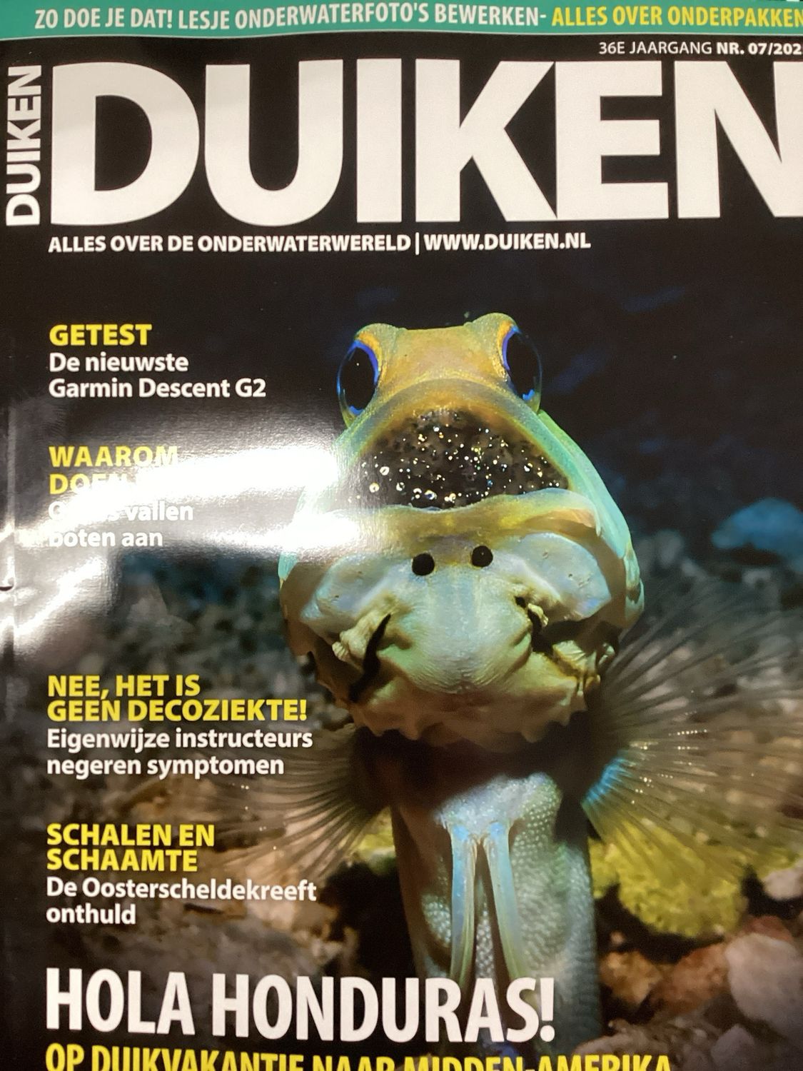 DUIKEN #7
