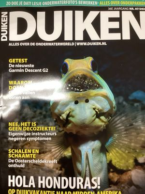 DUIKEN #7