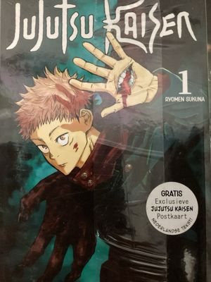 JUJUTSU KAISEN MANGA NL #01/25