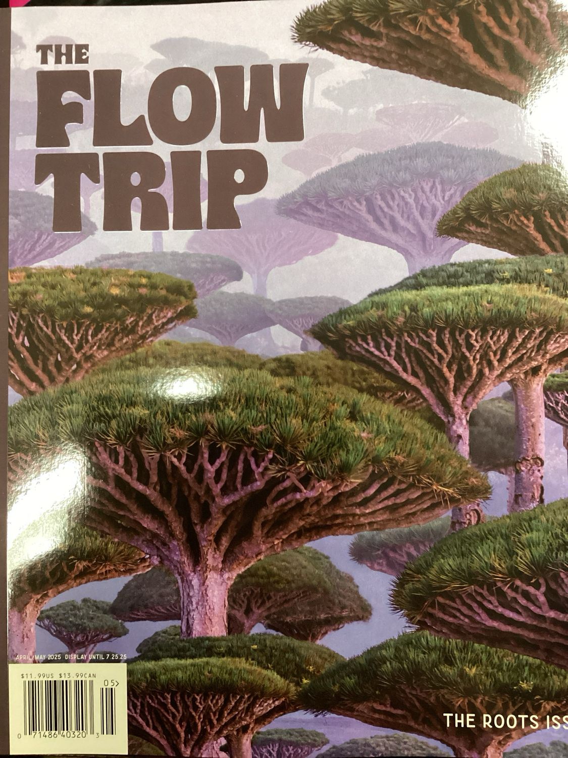 THE FLOW TRIP US #25005