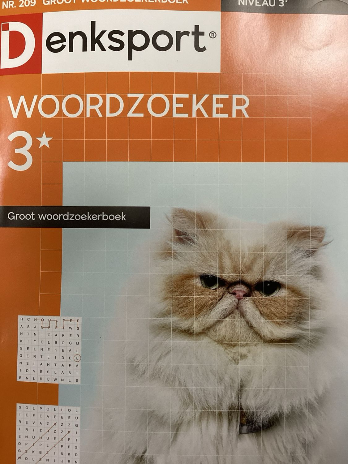 DS GROOT WOORDZOEKERBOEK #209