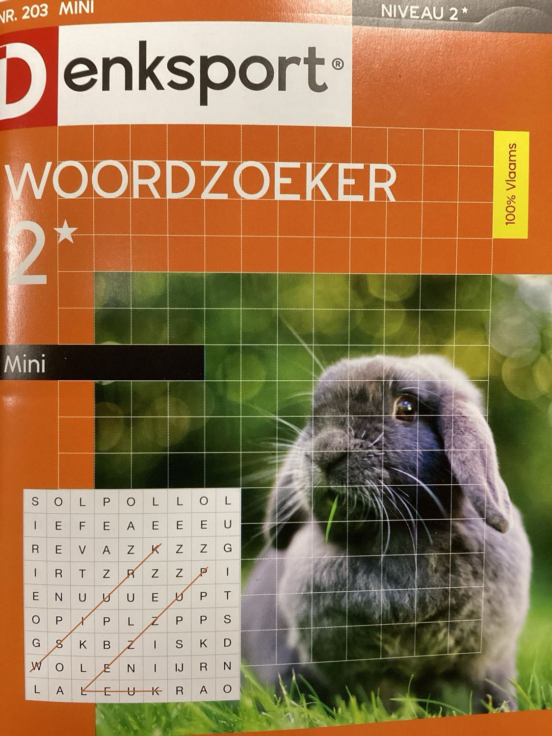 DS WOORDZOEKER MINI #203