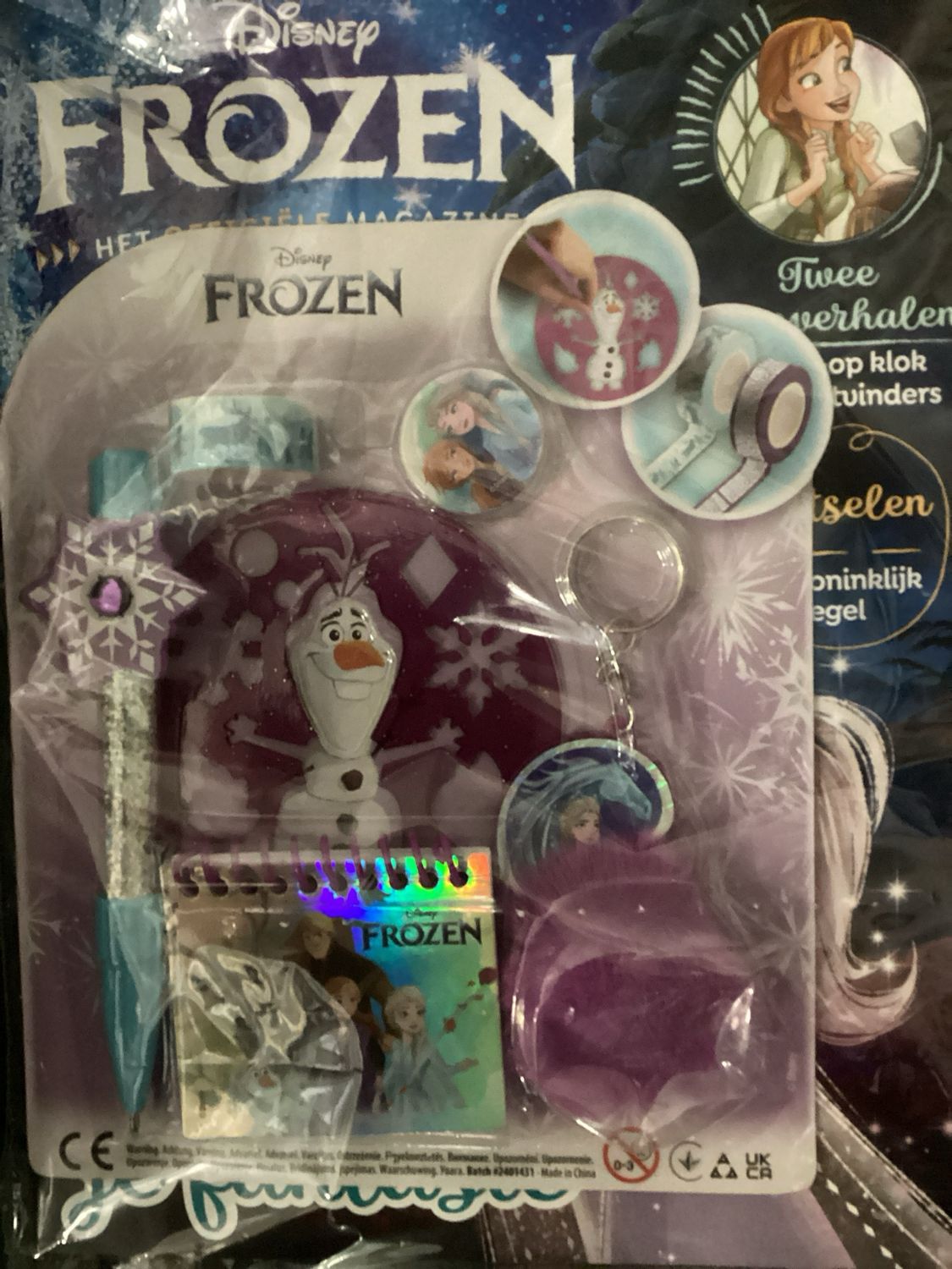 DISNEY FROZEN ACTIVITY #2/25
