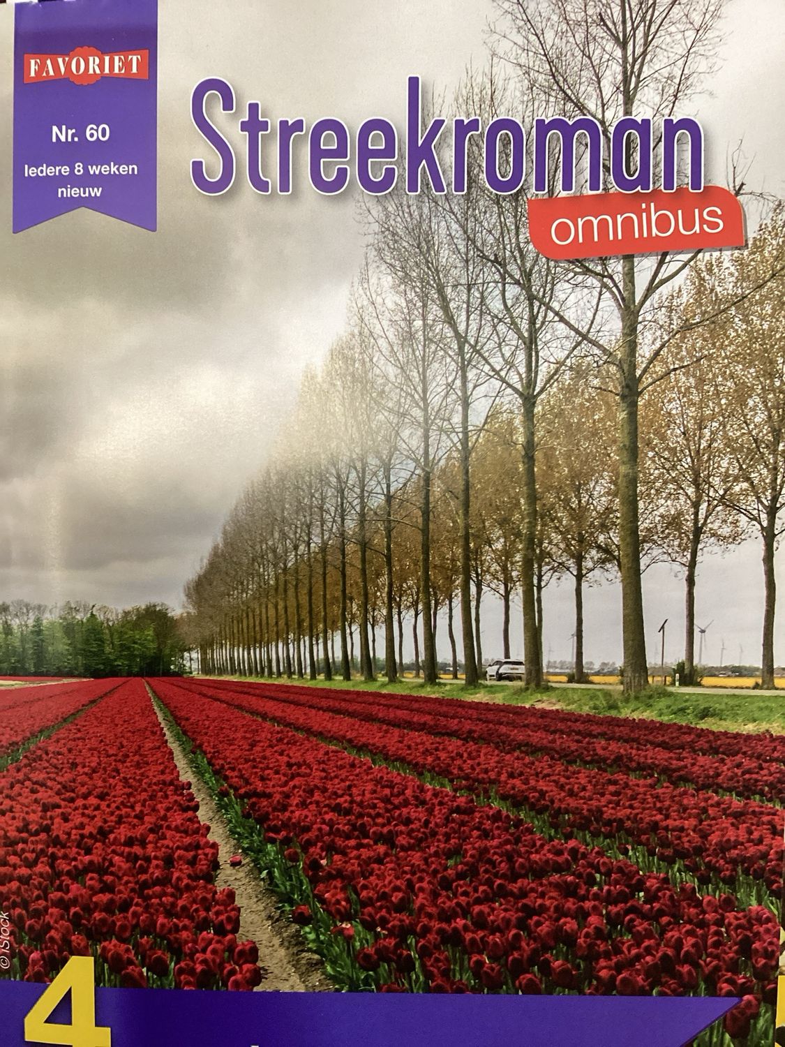 STREEKROMAN OMNIBUS #60